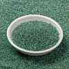 MIYUKI Round Rocailles Beads SEED-JP0010-RR0277-2