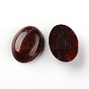 Oval Natural Red Jasper Cabochons G-I171-13x18mm-06-2