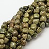 Natural Jasper Nuggets Beads Strands G-P092-23-1