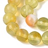 Imitation Lamowork Glass Beads Strands GLAA-Q106-07A-08-3