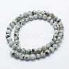 Natural Sesame Jasper/Kiwi Jasper Beads Strands G-I199-29-8mm-2