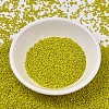 MIYUKI Delica Beads SEED-J020-DB2283-2