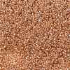 MIYUKI Round Rocailles Beads X-SEED-G009-RR1129-3