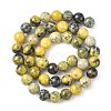 Natural Yellow Turquoise(Jasper) Beads Strands GSR007-3