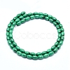 Natural Malachite Beads Strands G-D0011-09A-2