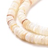 Shell Beads Strands SSHEL-E571-49I-5
