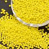 8/0 Glass Seed Beads SEED-J014-F8-42-1