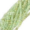 Natural Prehnite Beads Strands G-O201A-06E-1