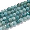 Natural Amazonite Beads Strands Grade A+ G-J388-01-4