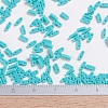 MIYUKI Quarter TILA Beads SEED-MY05-QTL412-4