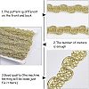 Metallic Polyester Ribbon OCOR-WH0065-07A-4
