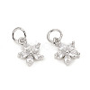 Brass Micro Pave Cubic Zirconia Charms LS-ZIRC-L096-10P-1