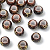 20Pcs Acrylic European Beads OPDL-YW0001-04B-1