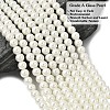 Eco-Friendly Dyed Glass Pearl Beads Strands HY-A008-6mm-RB002-2