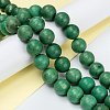 Natural Howlite Beads Strands G-C180-16E-4