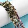 Natural Multicolor Tourmaline Beads Strands G-G0005-C04-2
