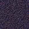 TOHO 11/0 Round Beads X-SEED-TR11-0381-2