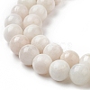 Natural Grey Moonstone Beads Strands G-I279-C01-10mm-A-4