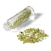 Gemstone Chip Bead Roller Ball Bottles AJEW-H101-01-4