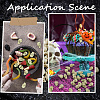 200Pcs Mini Resin Skull Display Decorations FIND-SP0005-58A-7