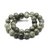 Natural Labradorite Bead Strands G-P256-01-4mm-2