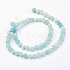 Natural Flower Amazonite Round Bead Strands G-L374-03-6mm-2