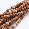 Gemstone Beads Strands GSR6mmC016-1