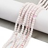 Natural Sea Shell Beads Strands G-H042-B33-01-2