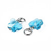 Faceted Transparent Glass Charms GLAA-T024-06E-3