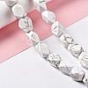 Natural Howlite Beads Strands G-L235A-14-2