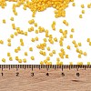 Baking Paint Glass Seed Beads X-SEED-S042-05B-82-4