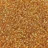 Transparent Colours Glass Round Seed Beads SEED-B001-06A-05-3