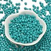 Baking Paint Pearlized Glass Seed Beads SEED-C001-04A-06-2