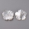 Natural White Shell Mother of Pearl Shell Beads SSHEL-R144-37-2