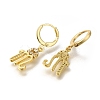 Brass Clear Cubic Zirconia Hoop Earrings EJEW-M045-01M-2