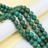Natural Howlite Beads Strands G-C180-16D-4