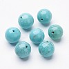 Natural Howlite Beads X-G-P212-10mm-2