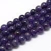 Natural Amethyst Beads Strands G-R446-8mm-21-1