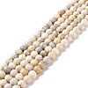 Natural HuBei Turquoise Beads Strands G-K317-A08-03-1