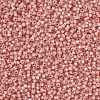 MIYUKI Round Rocailles Beads X-SEED-G008-RR0642-4