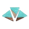 Resin & Wood Pendants WOOD-F015-06B-1
