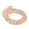 Transparent Glass Beads Strands EGLA-P061-04B-AB02-2
