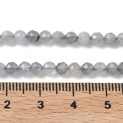 Natural Labradorite Beads Strands G-L651-C11-4mm-1