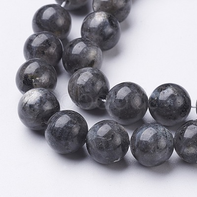 Natural Larvikite Beads Strands X-GSR10mmC128-1