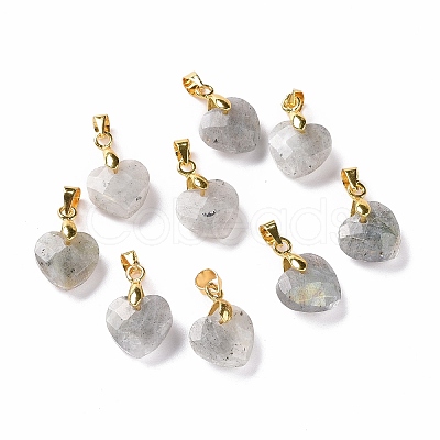 Natural Labradorite Pendants G-C023-07K-1