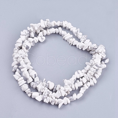 Natural Howlite Stone Bead Strands X-G-R192-15-1