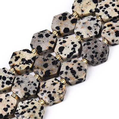 Natural Dalmatian Jasper Beads Strands G-N368-01A-03-1