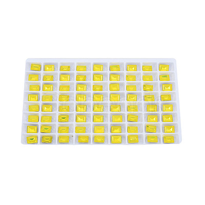 K9 Glass Rhinestone Cabochons MRMJ-N029-18-01-1