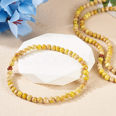 DIY Natural Regalite/Imperial Jasper/Sea Sediment Jasper Beads Bracelets Making KIts DIY-TA0002-69E-1