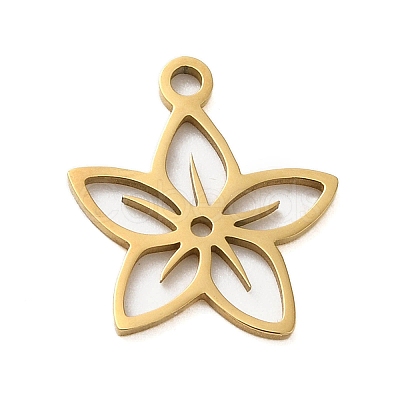 304 Stainless Steel Charms STAS-S123-01G-09-1